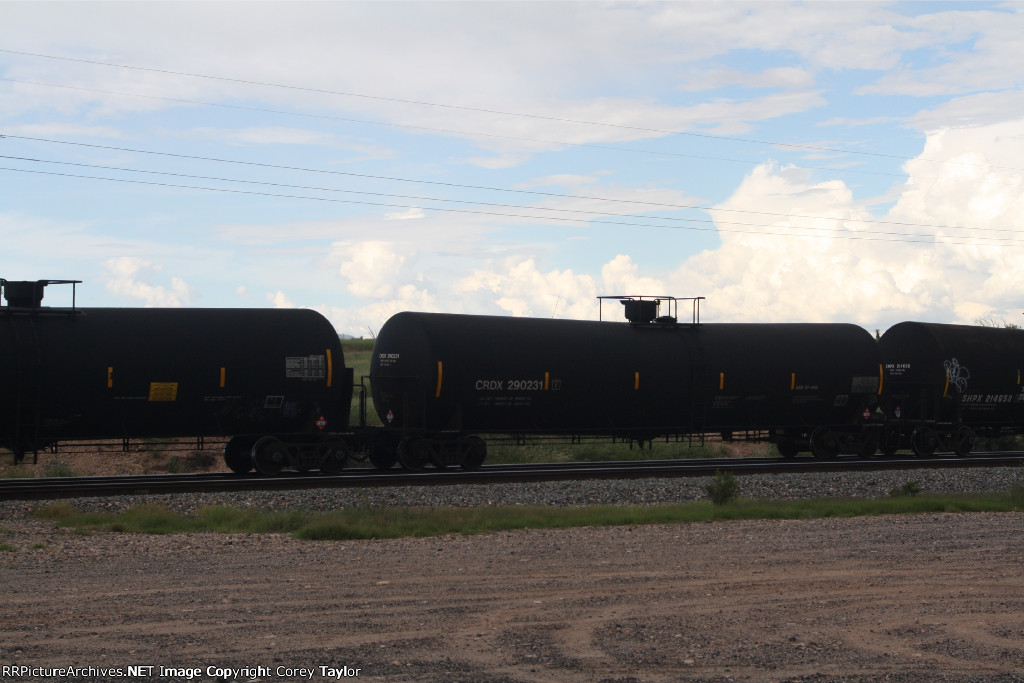 CRDX 290231